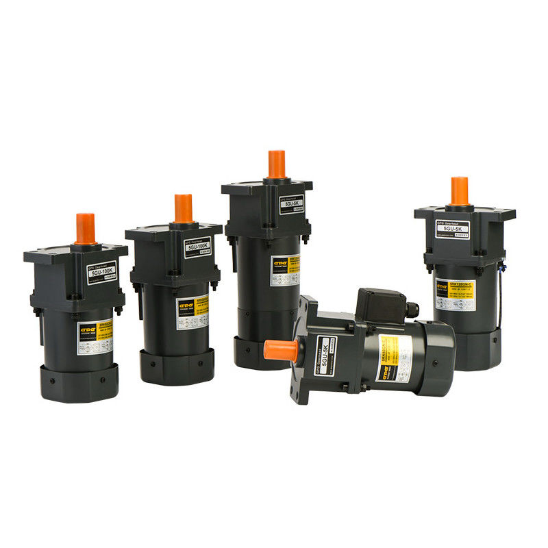 10W Niestandardowy silnik z przekładnią Elektryczny silnik z przekładnią AC DC 110V 220V 380V 24V 48V